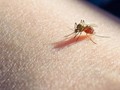 Συνολικά 14 περιστατικά στην περιοχή της Θεσσαλίας